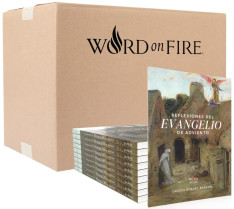 Reflexiones del Evangelio de Adviento 2024 - 20 Pack (Spanish)